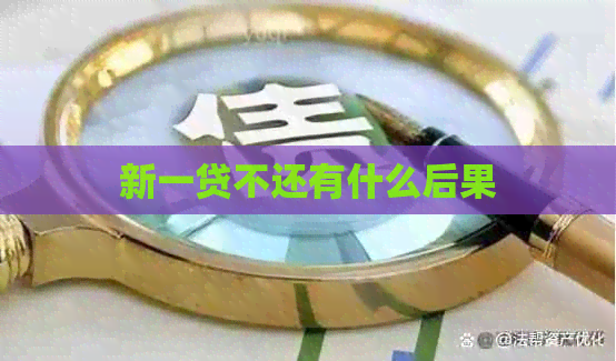 新一贷不还有什么后果
