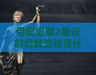 信用卡逾期2期诉前调解流程是什么