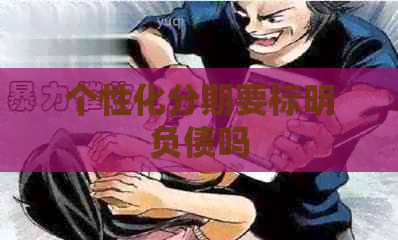 个性化分期要标明负债吗
