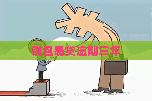 钱包易贷逾期三年