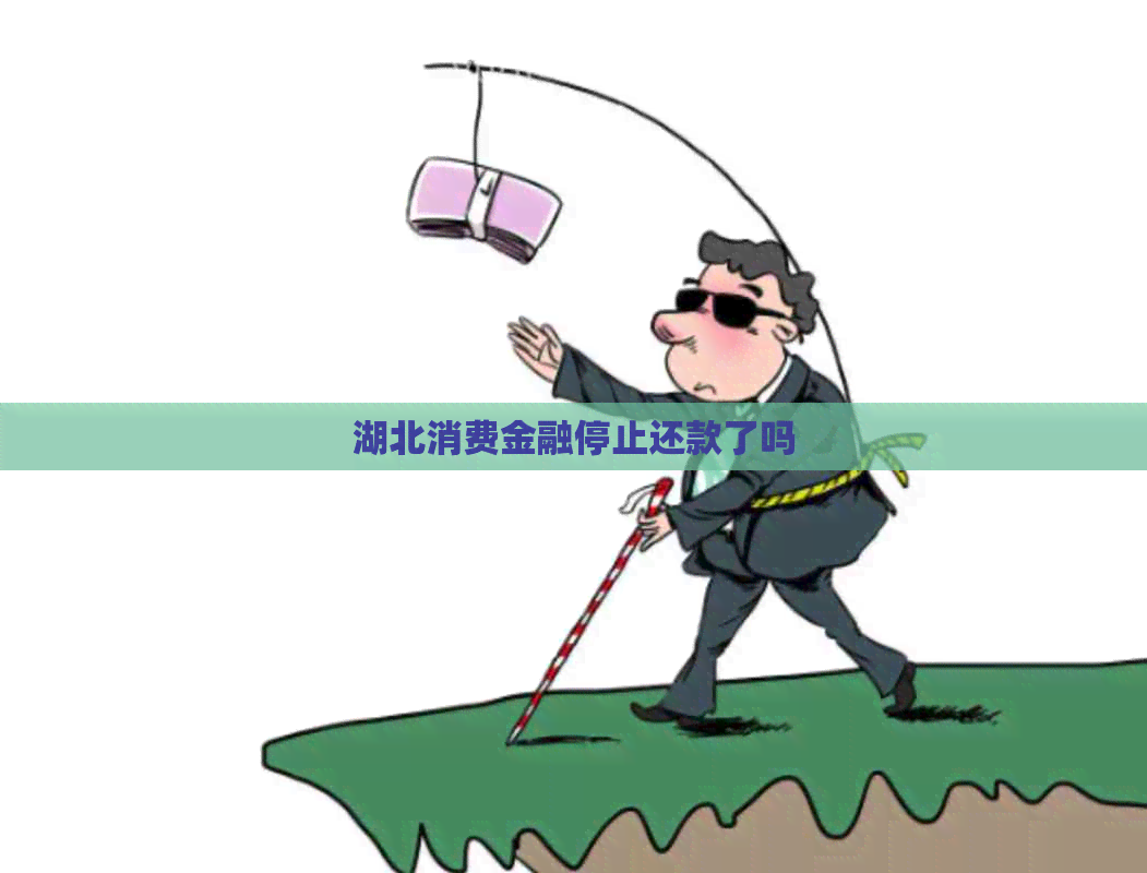 湖北消费金融停止还款了吗