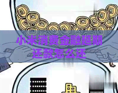 小米消费金融延期还款怎么还