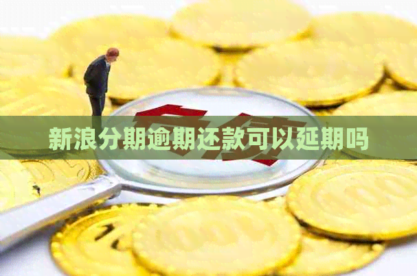 新浪分期逾期还款可以延期吗 新浪分期逾期还款可以延期吗