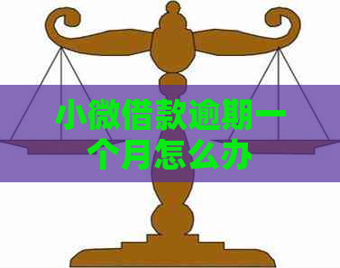 小微借款逾期一个月怎么办