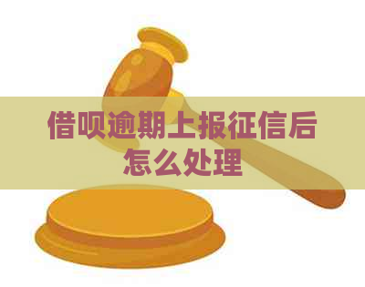 信用卡逾期上报后怎么处理