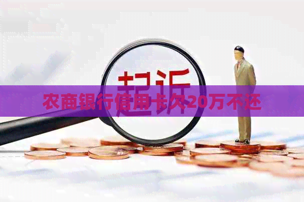 农商银行信用卡欠20万不还