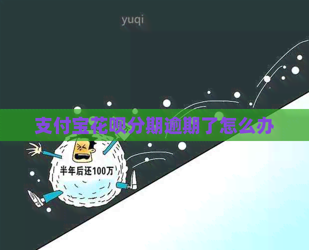信用卡白条分期逾期了怎么办 信用卡白条分期逾期了怎么办