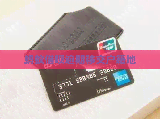 蚂蚁信用卡逾期移交户籍地