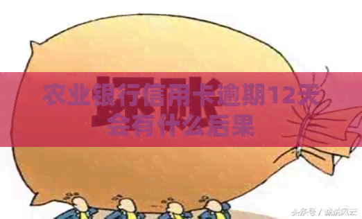 农业银行信用卡逾期12天会有什么后果
