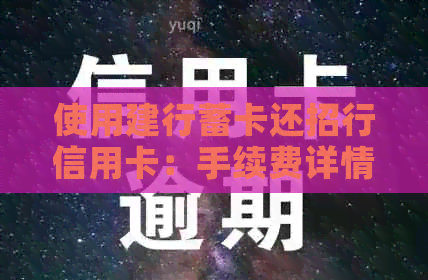 使用建行蓄卡还招行信用卡：手续费详情及操作指南