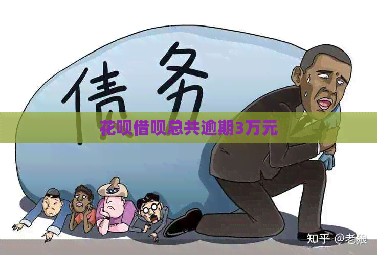 白条信用卡总共逾期3万元