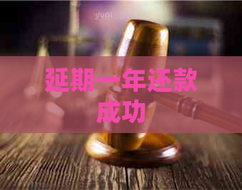 延期一年还款成功