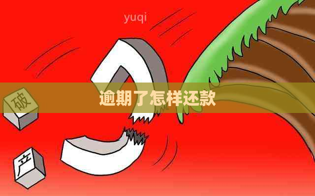 逾期了怎样还款
