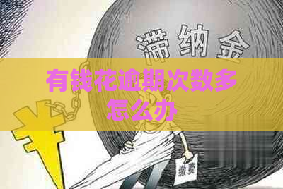 有钱花逾期次数多怎么办