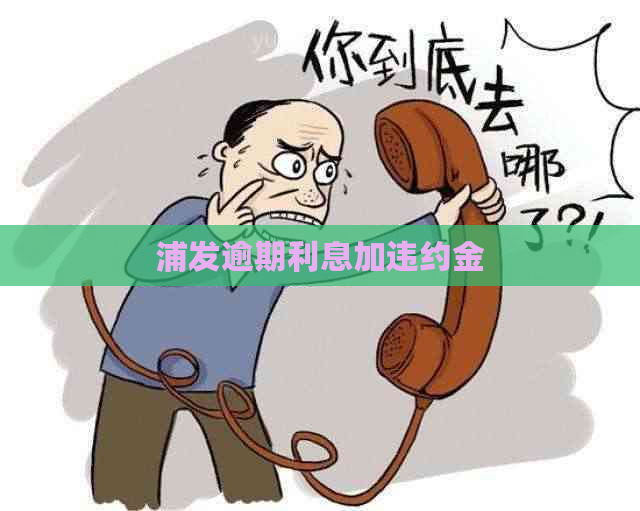 浦发逾期利息加违约金