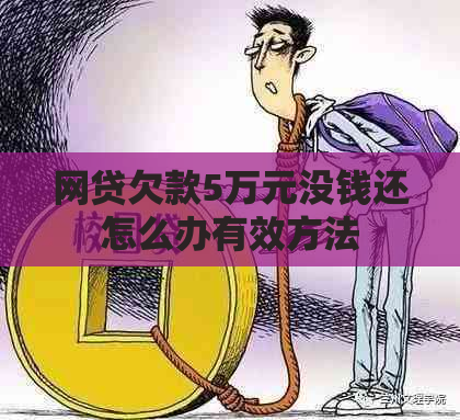 网贷欠款5万元没钱还怎么办有效方法