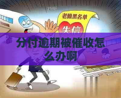 分付逾期被怎么办啊