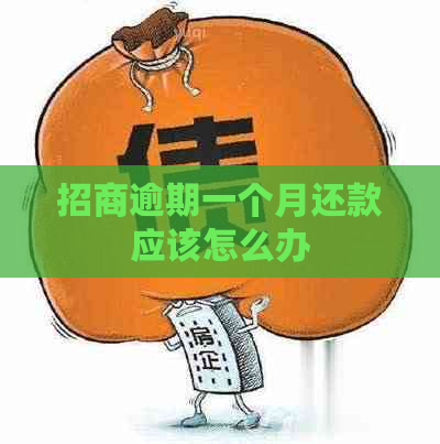 招商逾期一个月还款应该怎么办