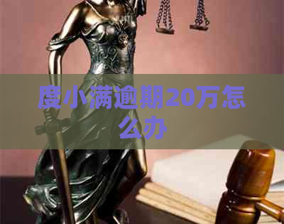 度小满逾期20万怎么办