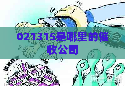 021315是哪里的公司