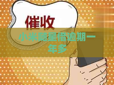 小米随星借逾期一年多