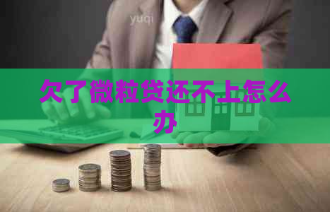 欠了微粒贷还不上怎么办