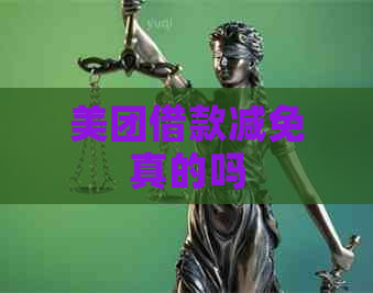 美团借款减免真的吗