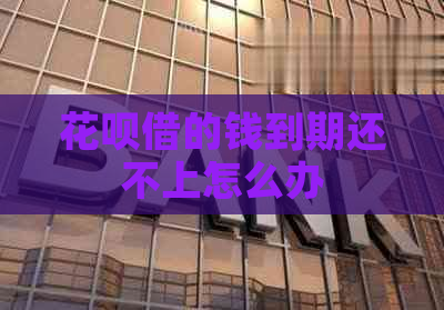 花呗借的钱到期还不上怎么办