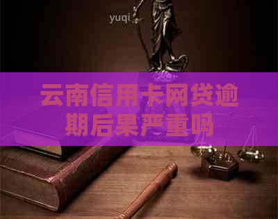 云南信用卡网贷逾期后果严重吗