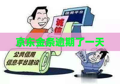 京东金条逾期了一天