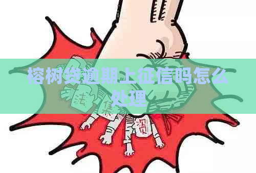 榕树贷逾期上吗怎么处理