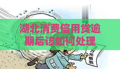 湖北消费信用贷逾期后该如何处理