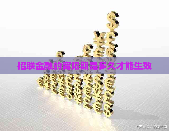 招联金融的宽限期是多久才能生效