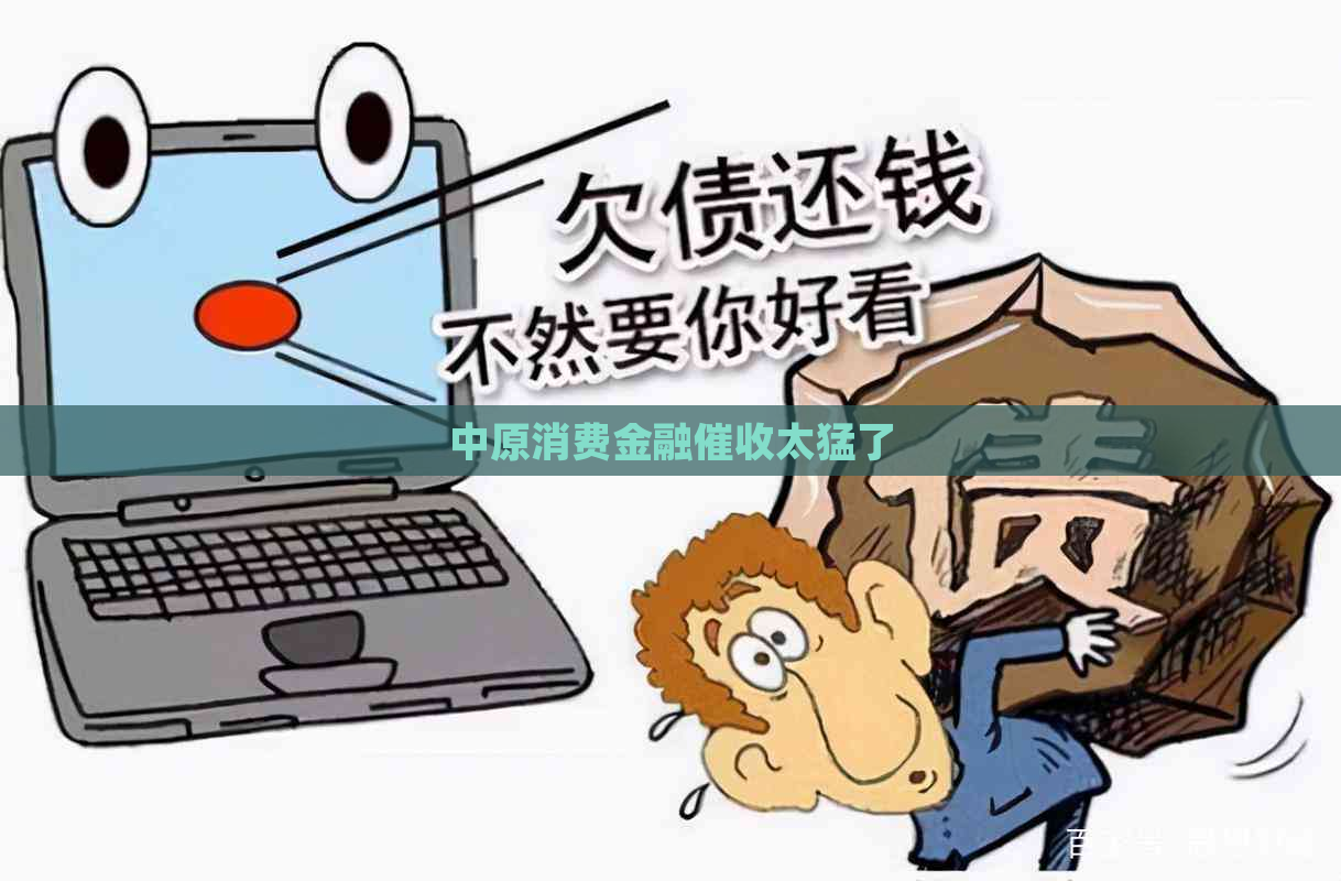 中原消费金融太猛了