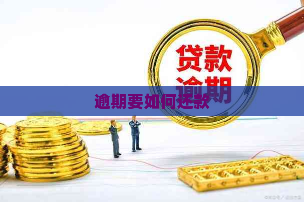 逾期要如何还款