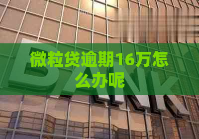 微粒贷逾期16万怎么办呢