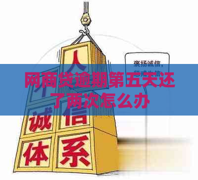 白条贷逾期第五天还了两次怎么办
