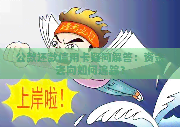 公款还款信用卡疑问解答：资金去向如何追踪？