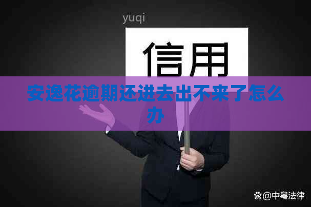 安逸花逾期还进去出不来了怎么办