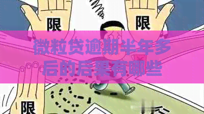 微粒贷逾期半年多后的后果有哪些