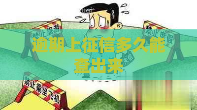 逾期上多久能查出来