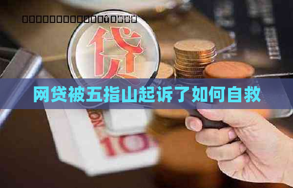 网贷被五指山起诉了如何自救