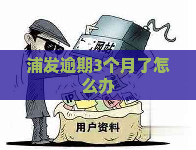 浦发逾期3个月了怎么办