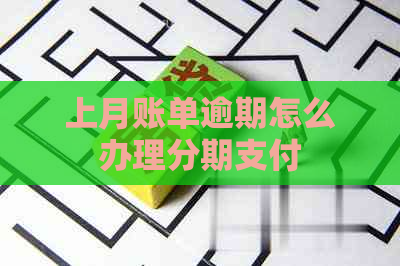 上月账单逾期怎么办理分期支付