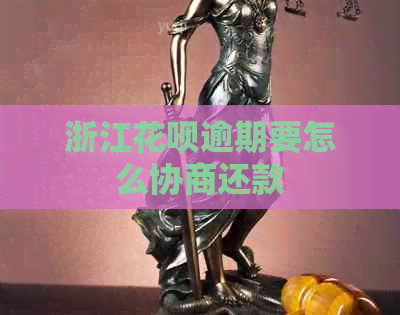 浙江白条逾期要怎么协商还款