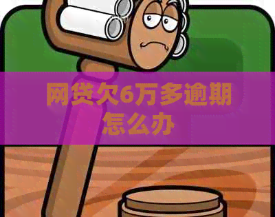 网贷欠6万多逾期怎么办