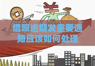信用卡逾期发重要通知应该如何处理