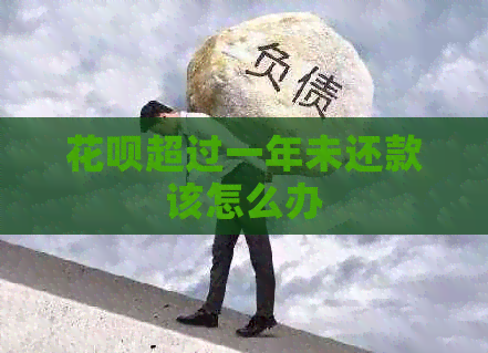 白条超过一年未还款该怎么办