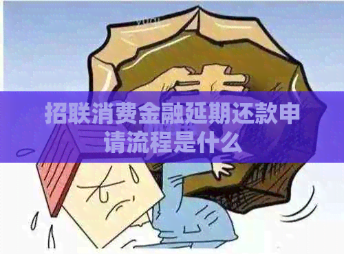 招联消费金融延期还款申请流程是什么