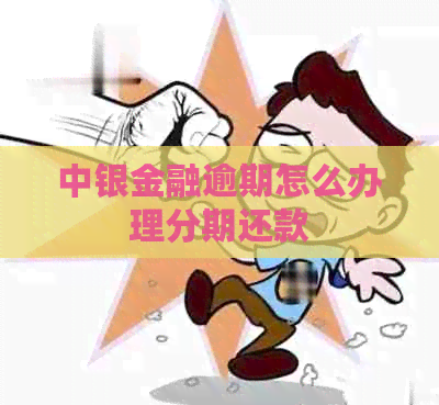 中银金融逾期怎么办理分期还款